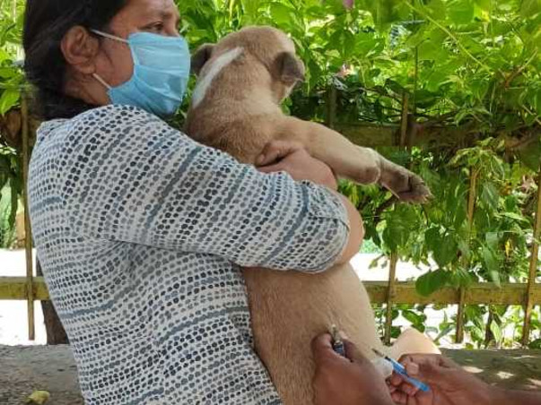 Give Hope, Help And Happiness To The Care Of Animals