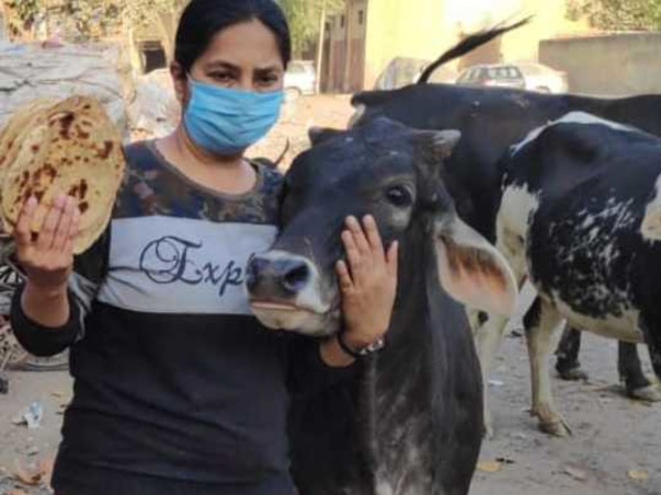 Give Hope, Help And Happiness To The Care Of Animals
