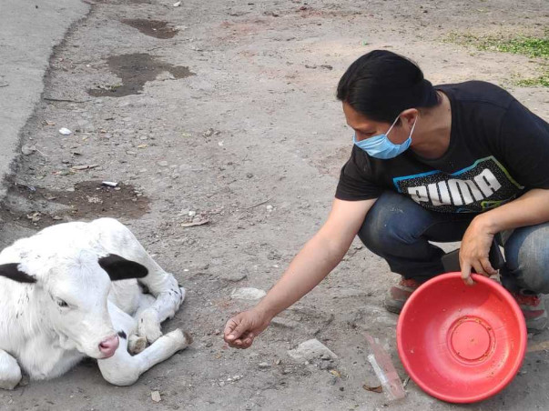 Give Hope, Help And Happiness To The Care Of Animals