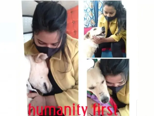 Support Nitika Jha To Construct Shelter For Stray Animals
