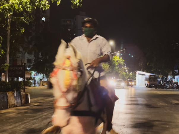 Adopt a Horse | Help Javed