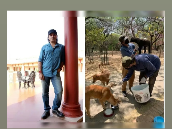 Helping dogs