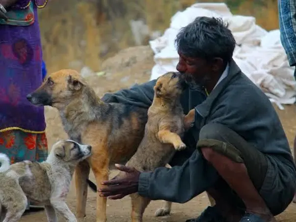 Embrace Destitutes And Stray Animals