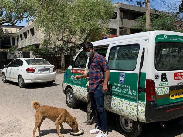 Help Friendicoes feed 2500+ dogs in Delhi