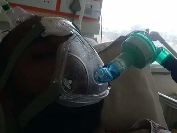 Help Ankur Get His Lungs Replaced