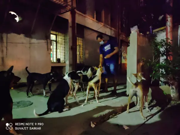 Help The Dogs of RGKMCH, Kolkata