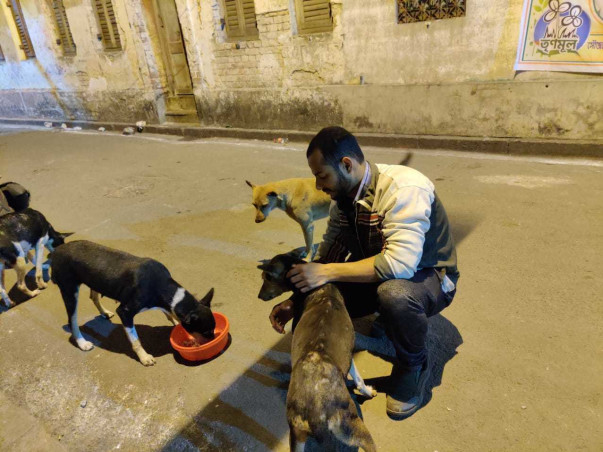 Help The Dogs of RGKMCH, Kolkata