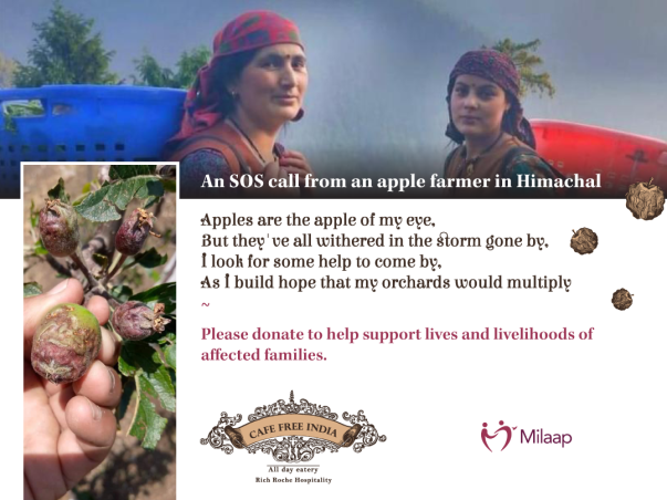 SOS Call to help Apple Farmers in Himachal Pradesh