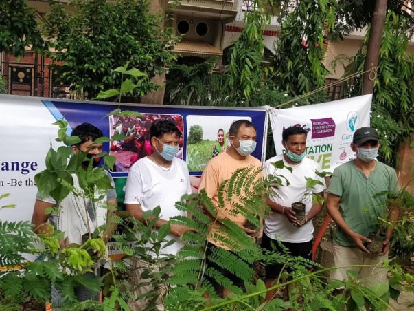 Tree Plantation Drive:  A PANACEA By SFC