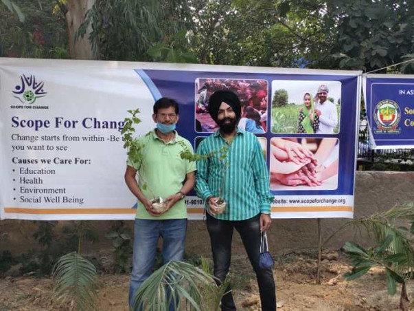 Tree Plantation Drive:  A PANACEA By SFC