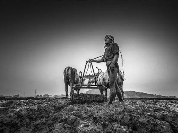 Thank a farmer