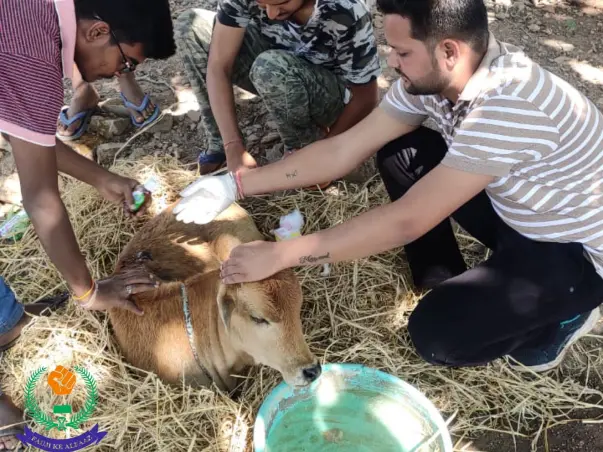 Help to build Gau-Shalas
