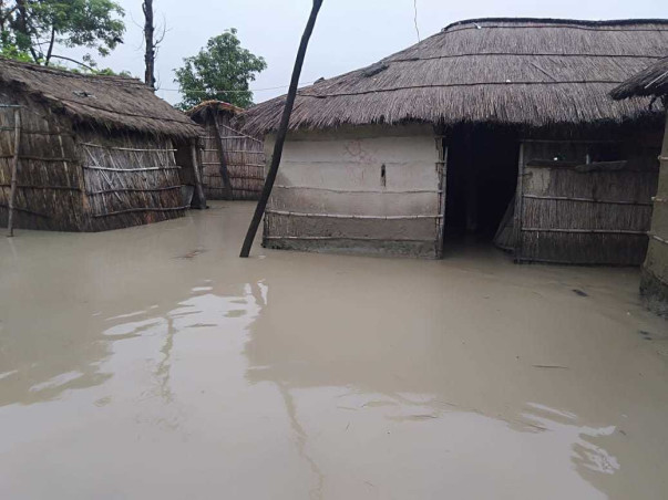 Help Me To Raise A Fund For The Social Causes