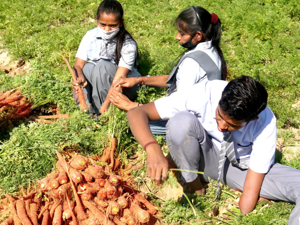 Second-hand Tractor for SKSN Disabled Kids Farm