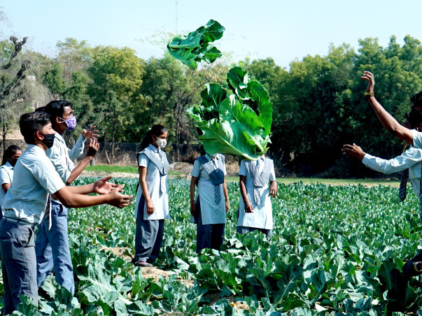 Second-hand Tractor for SKSN Disabled Kids Farm