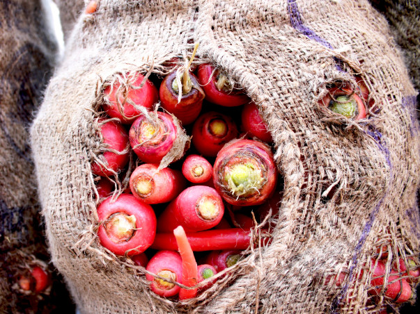 Second-hand Tractor for SKSN Disabled Kids Farm