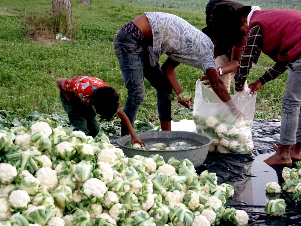 Second-hand Tractor for SKSN Disabled Kids Farm