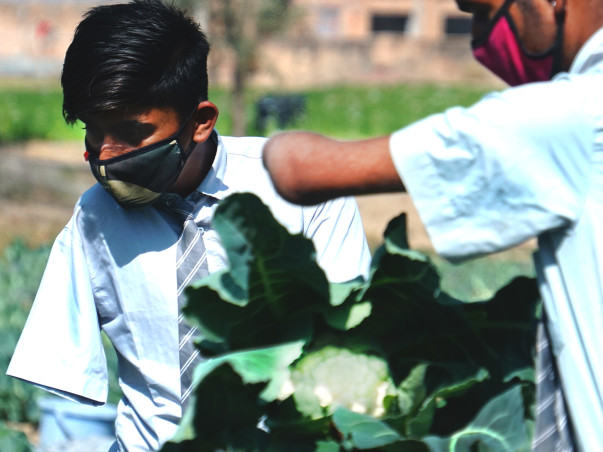 Second-hand Tractor for SKSN Disabled Kids Farm