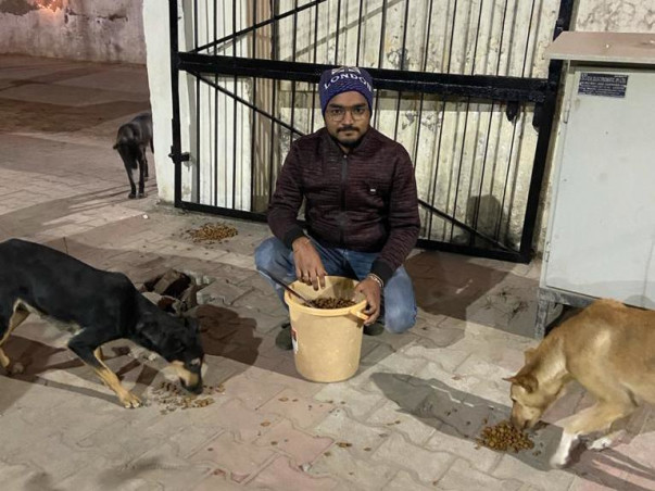 Help The Loyal Hearts