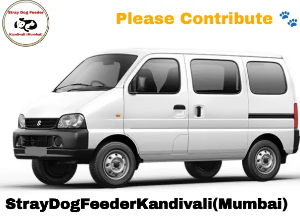 Help To Purchase A Van For Stray Animals