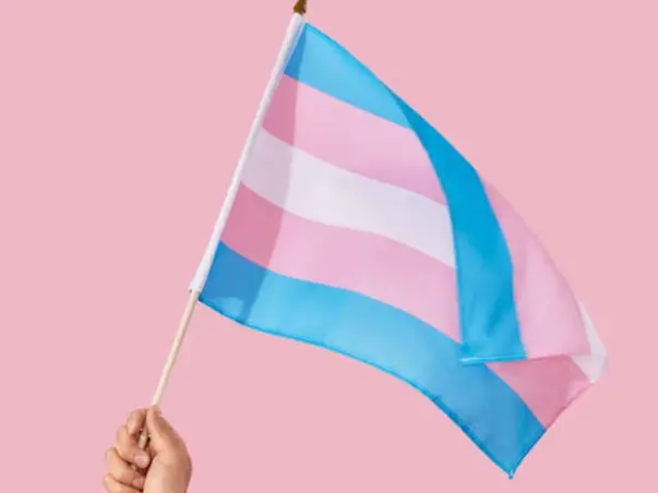 Hopeless Transgender Person's Looking For Help