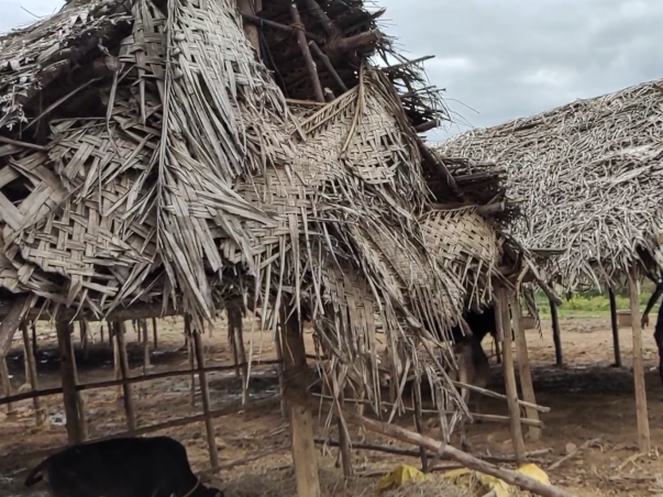 Help Sai Vignesh Build Sheds For Rescued Animals Of The Sanctuary!
