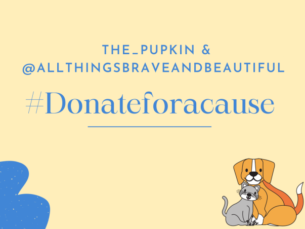 The Pupkin & Allthings Brave And Beautiful Fundraiser