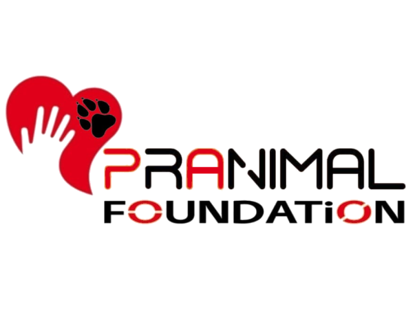HELP PRANIMAL FOUNDATION TO SAVE ITS ANIMAL SHELTER