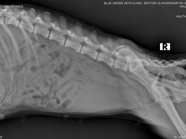 •KALI🐾- *PANVEL ACCIDENT CASE*