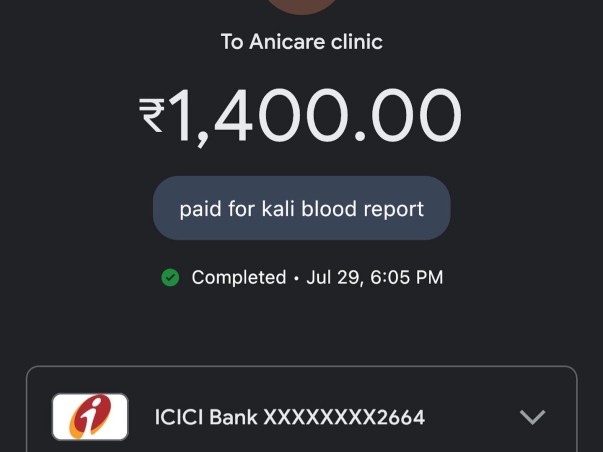 •KALI🐾- *PANVEL ACCIDENT CASE*