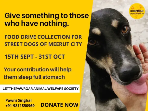 FOOD COLLECTION DRIVE FOR STREET DOGS OF MEERUT CITY