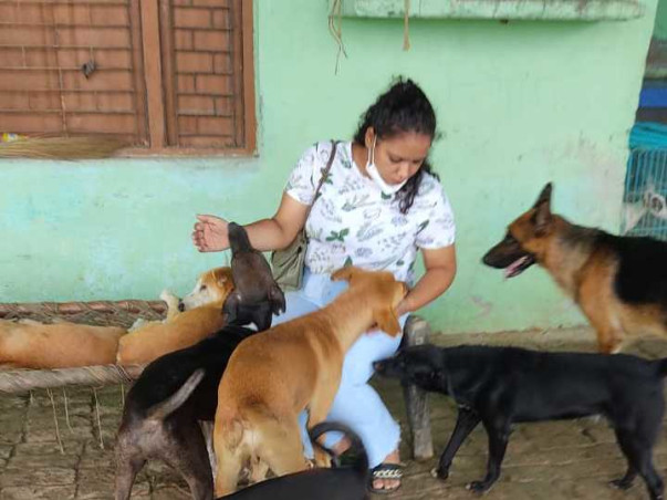 Animal lives priority