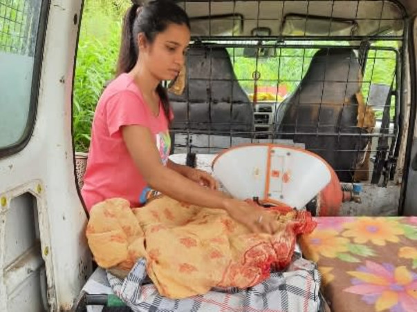 Aman's Animal Rehabilitation Foundation