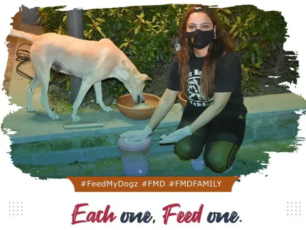 Do Good for a Cause !! #FeedMyDogZ