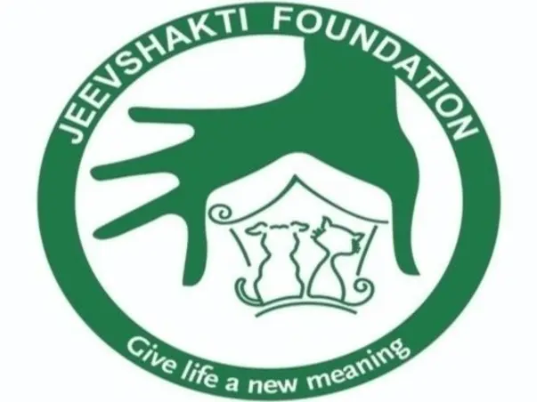 Paw Project: Jabs For Strays