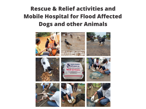 Help Get An Ambulance For Street Dogs & Other Animals of Kolhapur