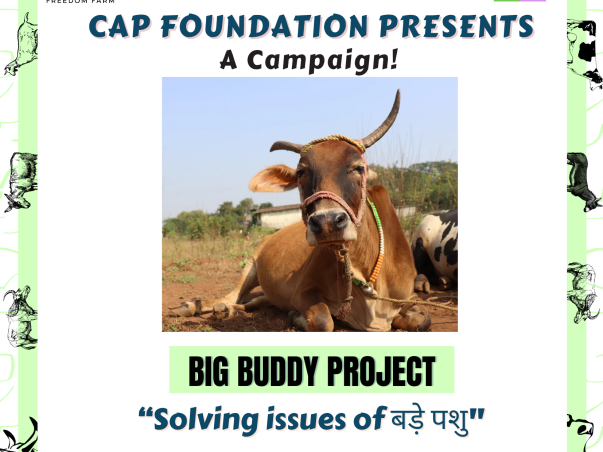 BIG BUDDY PROJECT - Solving issues of बड़े पशु