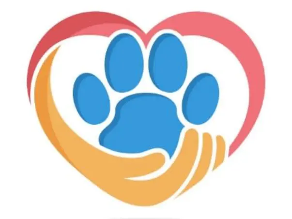 Help me to build a animal shelter