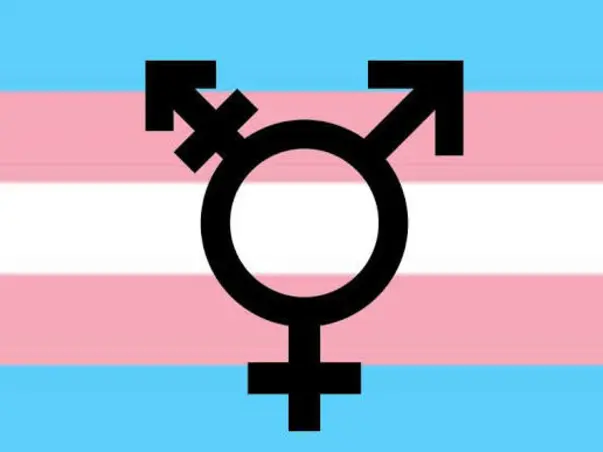 Help a Trans Person to Stand up for a Dignified Life again