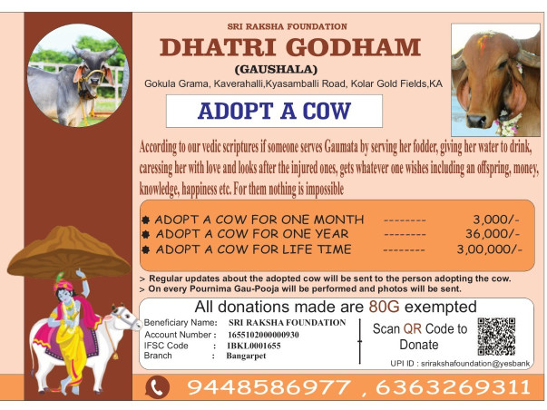 Adopt a Cow at Dhatri Godham