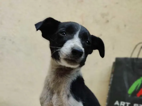 Help us save hope’s life