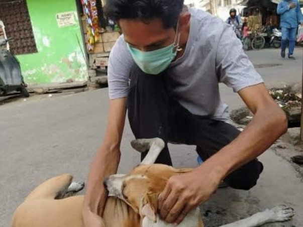 Help the Strays aniamals get vaccinated