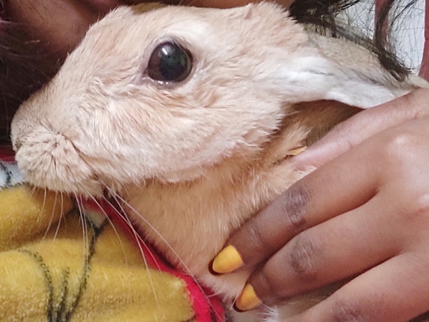 Help Kutu To Win Her Life Battle