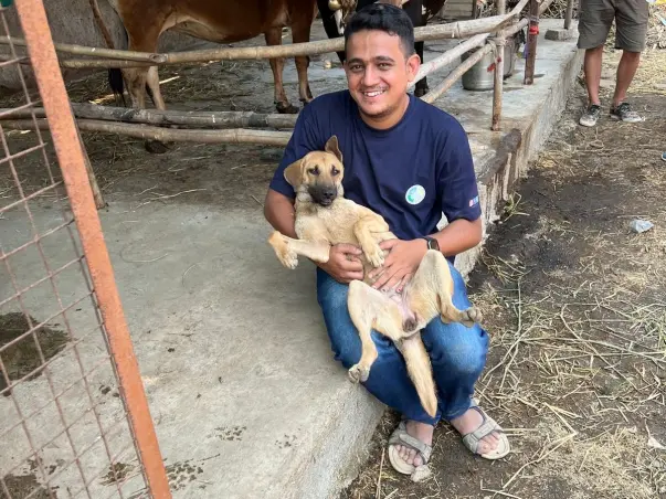 A SPECIAL BIRTHDAY FUNDRAISER - HELP ONE OF MY RESCUES, BROWNIE