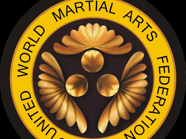 Support Akash In Representing India At World Martial Arts Championship