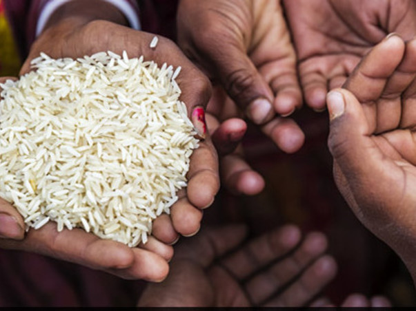 Fight against Malnutrition