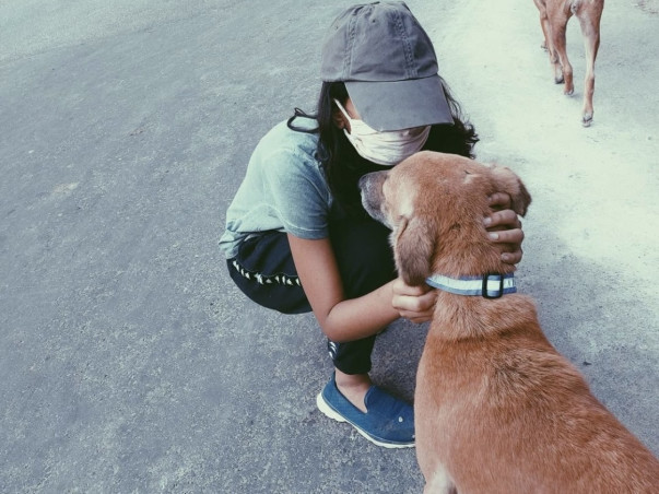 Help Pawsinpuddle Raise Funds For Dog Treatments And Food