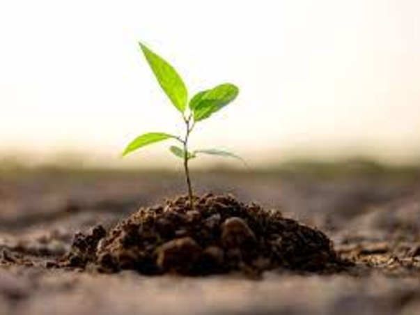 Help Me Make Green Difference