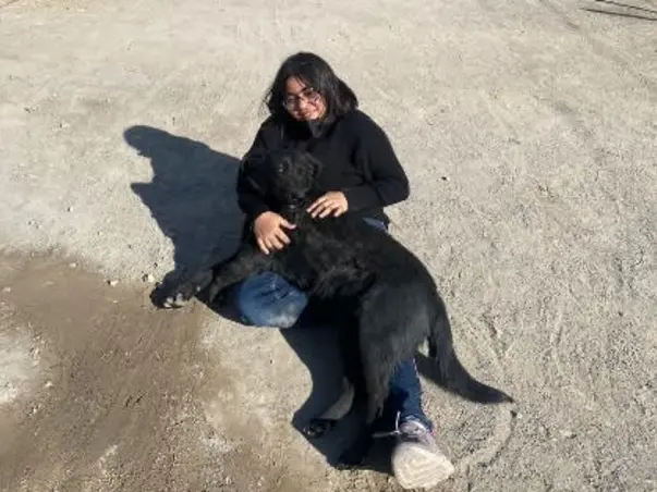 Live To: Rescue - help in saving the lives of the stray and injured.