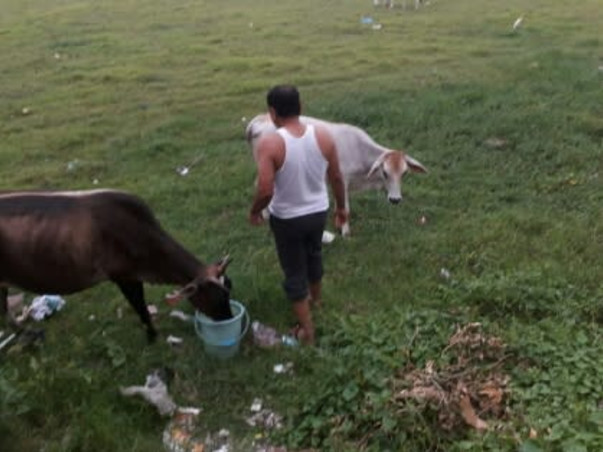 Help Poor And Needy People and animals
